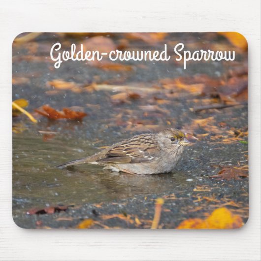 Golden crowed Sparrow Muismat (Voorkant)