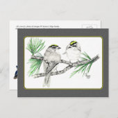 Golden Crowned Kinglet Briefkaart 2 in potlood (Voorkant / Achterkant)