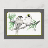 Golden Crowned Kinglet Briefkaart 2 in potlood (Voorkant)