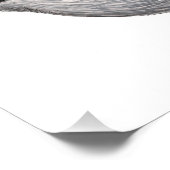 Golden-Crowned Kinglet Foto Afdruk (Hoek)