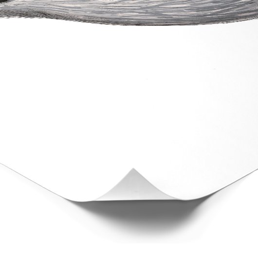 Golden-Crowned Kinglet Foto Afdruk (Hoek)