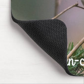 Golden-Crowned Kinglet Muismat (Hoek)