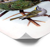 Golden Crowned Kinglet Poster (Hoek)