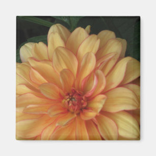 Golden Dahlia Magnets Magneet