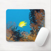 Golden Damselfish (Amblyglyphidodon aureus) Muismat (Met muis)
