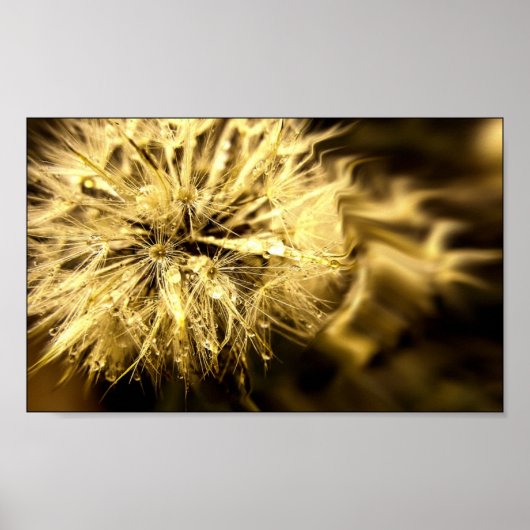 Golden Dandy Dreams Poster (Voorkant)