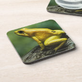 Golden Dart Frog Bier Onderzetter (Linkerzijde)