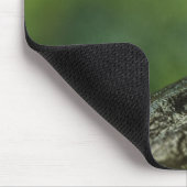 Golden Dart Frog Muismat (Hoek)