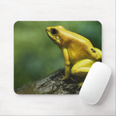 Golden Dart Frog Muismat (Met muis)