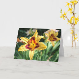 Golden Daylily Blank in Personal Message Kaart