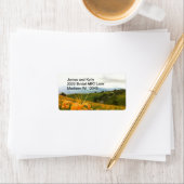 Golden Daylily Flower Valley Etiket (Insitu)