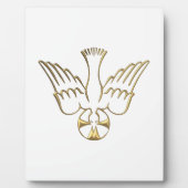 Golden Descent van het Heilige Geest Symbool Fotoplaat (Voorkant)