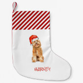 Golden doedle met kerststaart kleine kerstsok (Voorkant)