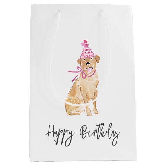 Golden Dog Verjaardag Pet Ballonnen Cake Pet Fun Medium Cadeauzakje (Voorkant)