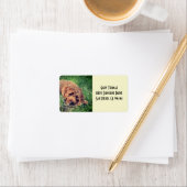 Golden Doodle Adresetiketten Etiket (Insitu)