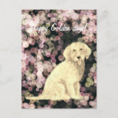 Golden Doodle Ansichtkaart Briefkaart (Voorkant)