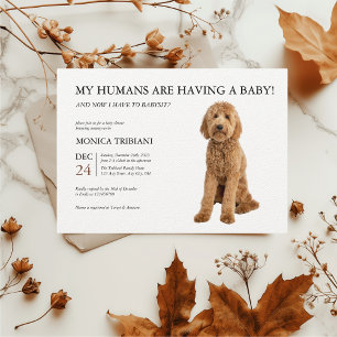 Golden Doodle Baby shower minimalistische uitnodig Kaart