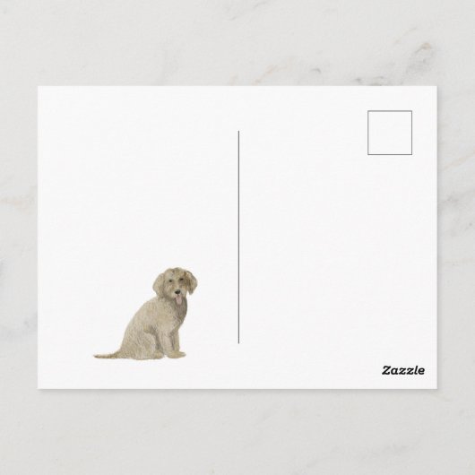 Golden Doodle Briefkaart (Achterkant)