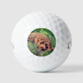 Golden Doodle Callaway Soft Golf Balls Golfballen (Voorkant)