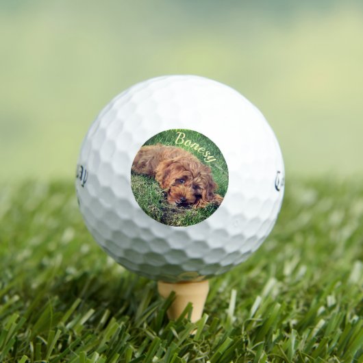 Golden Doodle Callaway Soft Golf Balls Golfballen (Insitu Shirt)