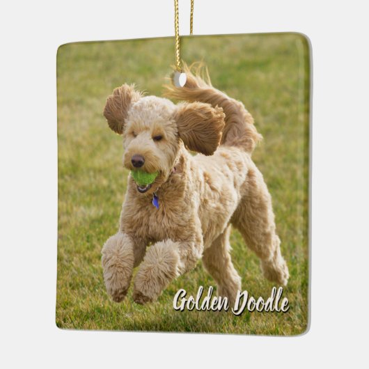 Golden Doodle Dog Keramisch Ornament (Links)