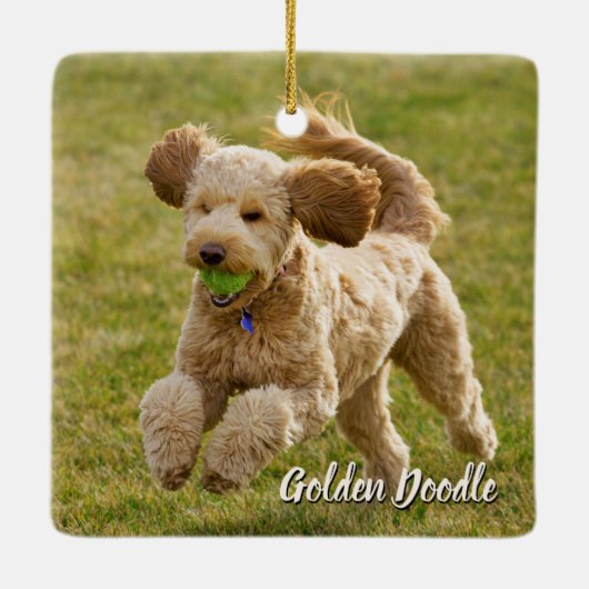 Golden Doodle Dog Keramisch Ornament (Achterkant)
