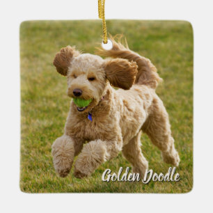 Golden Doodle Dog Keramisch Ornament