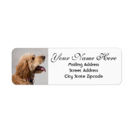 Golden Doodle Dog Return Address Etiket