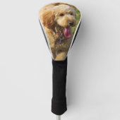 Golden Doodle Golfheadcover (Voorkant)