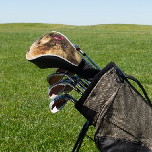 Golden Doodle Golfheadcover (Insitu)