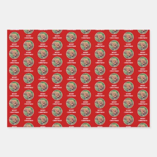 Golden Doodle Inpakpapier Vel (Voorkant)