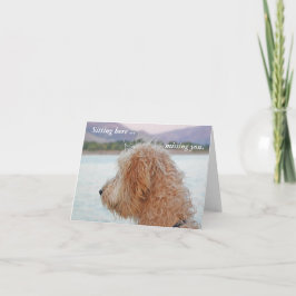 Golden Doodle Kaart--Missing You Notecard Kaart