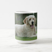 Golden Doodle Mok (Center)