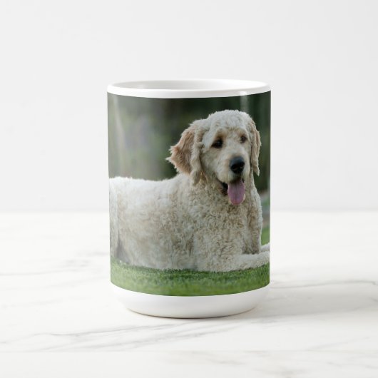 Golden Doodle Mok (Center)