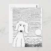 Golden Doodle op het strand Briefkaart (Voorkant / Achterkant)