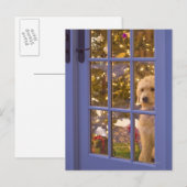 Golden Doodle pupil die een glazen deur uitkijkt m Briefkaart (Voorkant / Achterkant)