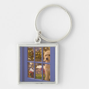 Golden Doodle pupil die een glazen deur uitkijkt m Sleutelhanger