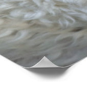 Golden Doodle Puppies Poster (Hoek)