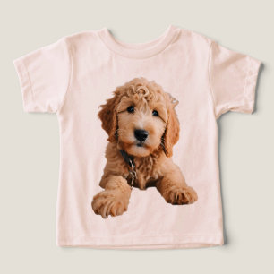 Golden Doodle Puppy