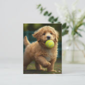 Golden Doodle Puppy Ball Briefkaart (Staand voorkant)