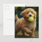 Golden Doodle Puppy Ball Briefkaart (Voorkant / Achterkant)