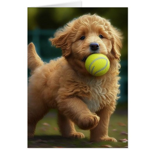 Golden Doodle Puppy Ball Occasions Greet (Voorkant)