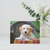 Golden Doodle Puppy Briefkaart (Staand voorkant)