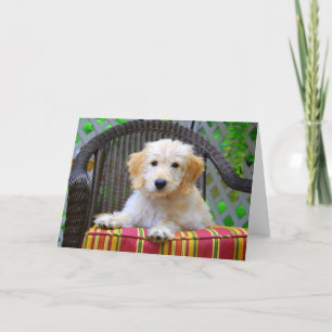 Golden Doodle Puppy Kaart