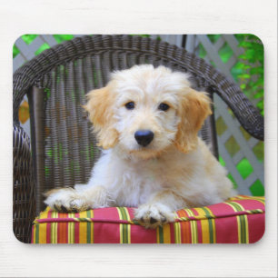 Golden Doodle Puppy Mousepad Muismat