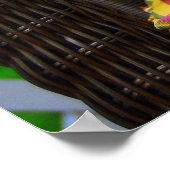 Golden Doodle Puppy Poster (Hoek)