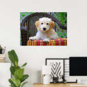 Golden Doodle Puppy Poster (Thuiskantoor)