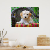 Golden Doodle Puppy Poster (Keuken)
