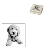 Golden Doodle Puppy Rubberstempel (Gestempeld)