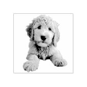 Golden Doodle Puppy Rubberstempel (Afrduk)